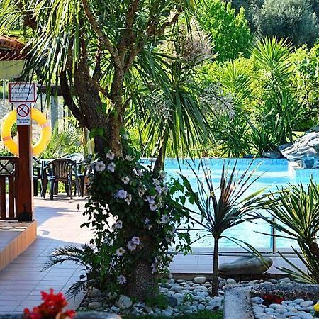 Casa Da Pedrosa Bed & Breakfast Понте де Лима Екстериор снимка