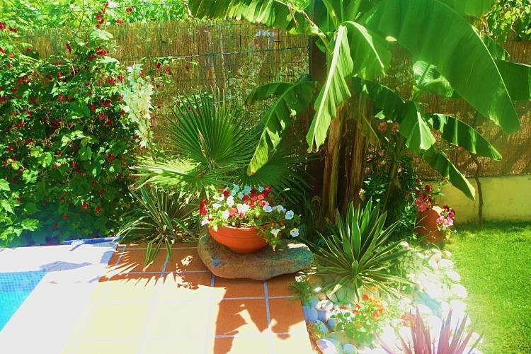 Casa Da Pedrosa Bed & Breakfast Понте де Лима Екстериор снимка